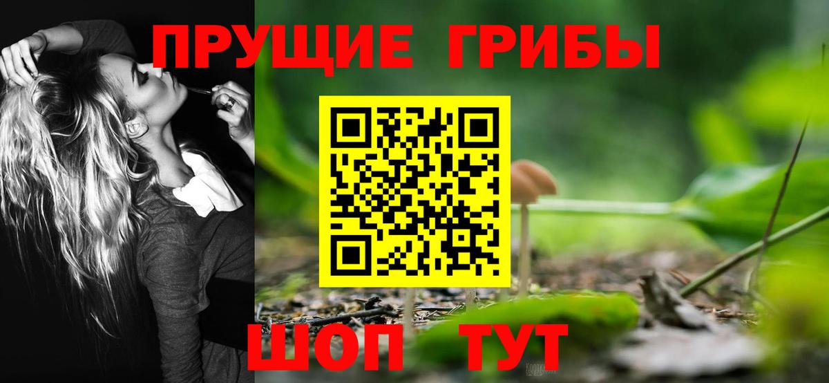 Гатчина  Галлюциногенные грибы Cubensis  Вход с VPN  Галлюциногенные грибы прущие грибы 