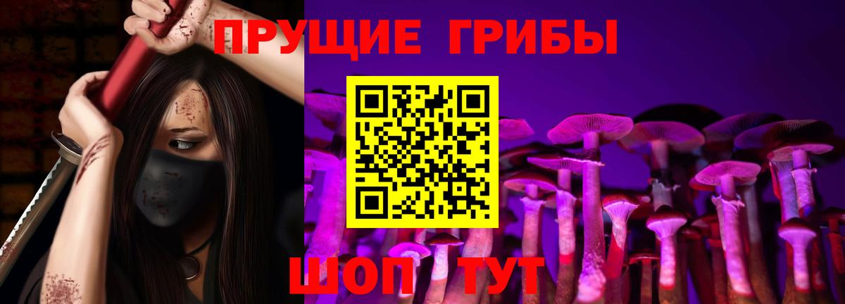 Псилоцибиновые грибы MAGIC MUSHROOMS Гатчина