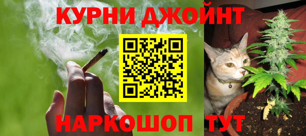 Бошки марихуана планчик Гатчина